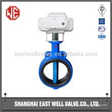 Lug butterfly valve wafer